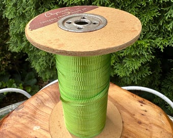 Vintage Chiprinette Green Rayon Gift Tie Ribbon Chicago Printed String Spool