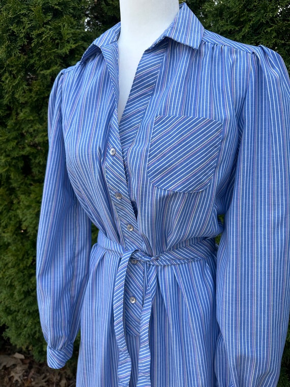 Vintage Schrader Sport Blue Striped Shirtdress Ta… - image 1