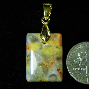 Exotica Jasper Pendant - 17 ct  6/8&quot; Exotica Jasper Pendant Excellent healing Power stone and Filled Gold Holder