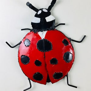 Ladybug