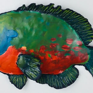 Bluegill fish