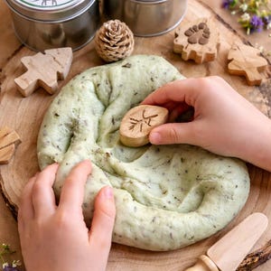 Pâte à modeler sensorielle parfumée à la menthe | Menthe-asaurus | Pâte à modeler sensorielle parfumée à la menthe | Ingrédients biologiques | Mastic thérapeutique | Sélecteur de peau | TDAH