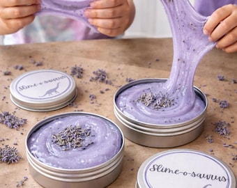 Slime sensoriel pour le TDAH | Fimo fruité | PickyPads | Cadeaux de Pâques | Neurodivergent | TSA | École | Boîtes de slime | Cadeaux pour fête | Sélecteur de peau