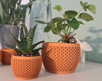 Pflanztopf aus Pinienholzfasern - Originelles Geschenk für Pflanzenliebhaber in einzigartigen Designs & verschiedenen Größen