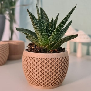 Pflanztopf Hellholzfasern - Originelles Geschenk für Pflanzenliebhaber in einzigartigen Designs & verschiedenen Größen