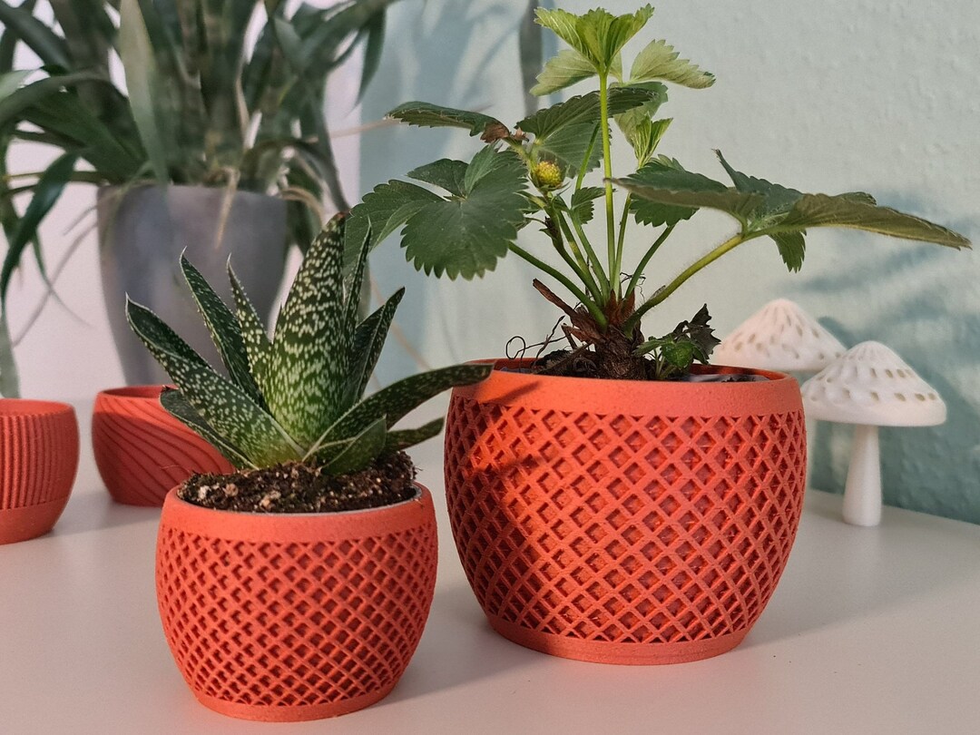 Terracotta Plant Pot Made of Wood Fibers - Original Gift for Plant ...