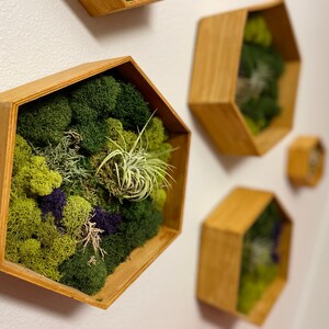 Moss Branch Decor image 4