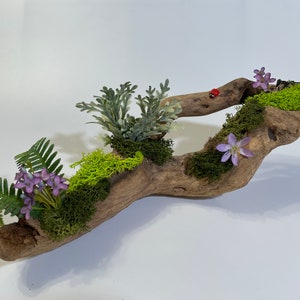 Moss Branch Decor image 1