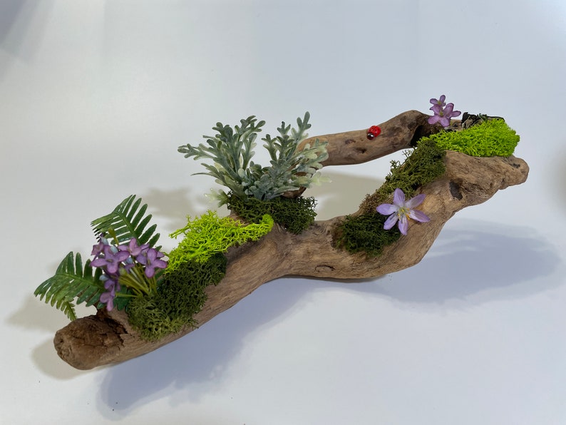 Moss Branch Decor image 1