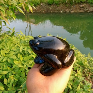 934 gr Carving Frog Andara Crystal Deep Blue Sea Polished