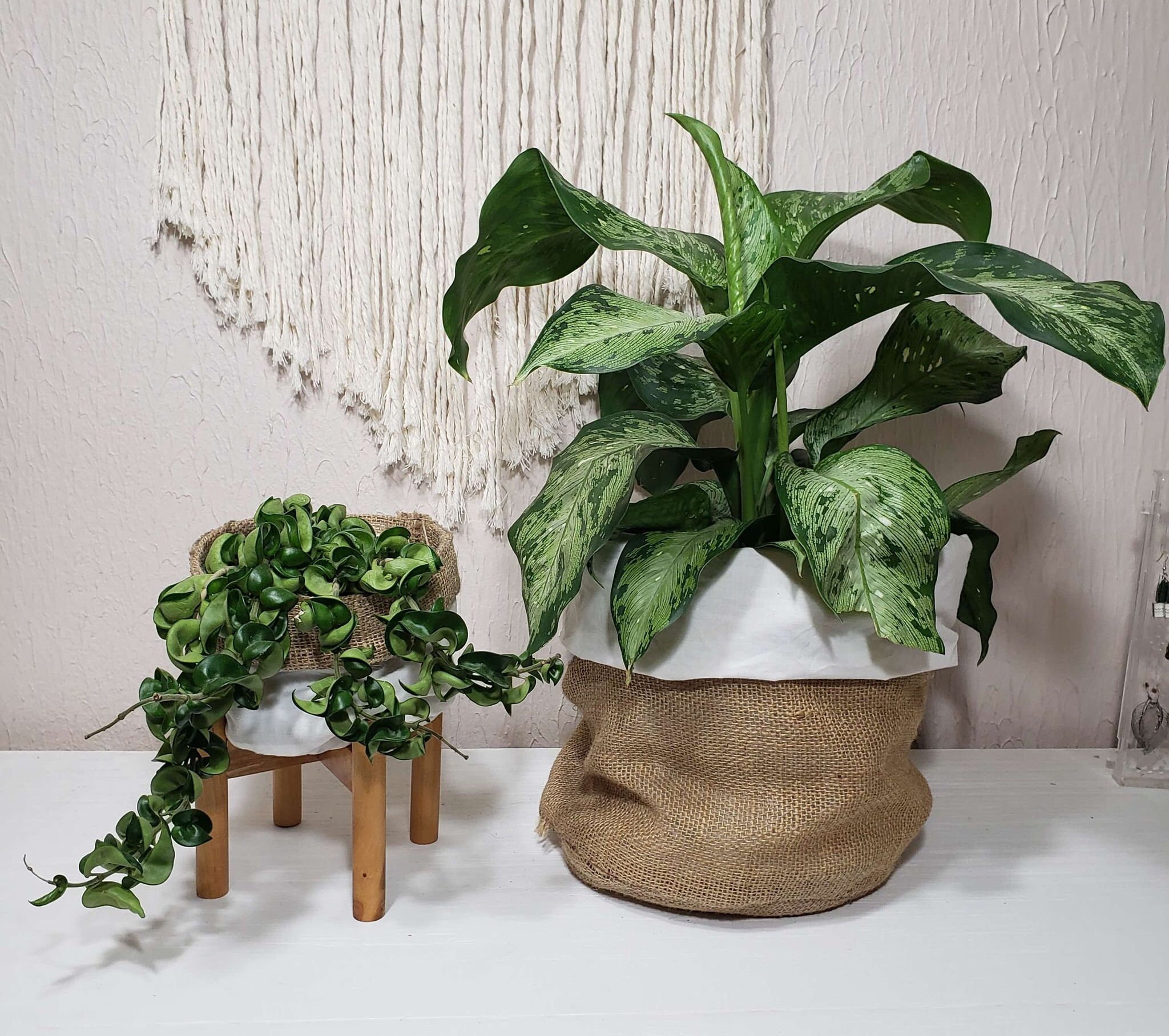 Custom Fabric Pot Covers / Removable Pot Covers Etsy 日本