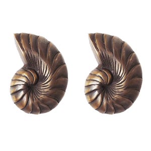 Par de alzapaños de cortina con forma de concha de nautilus vintage, ganchos de pared de latón macizo para decoración del hogar