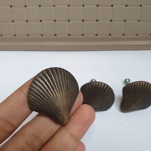 Könnte beinhalten: Drei messingfarbene Schrankknöpfe in Muschelform mit einer detaillierten, strukturierten Oberfläche.