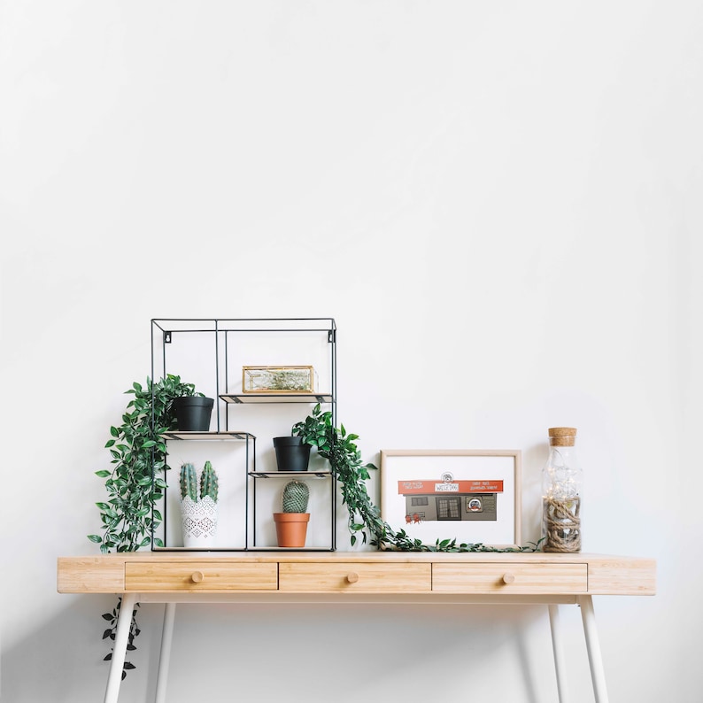 Water Dog Margate City, Ventnor, Longport, NJ Jersey Shore Art