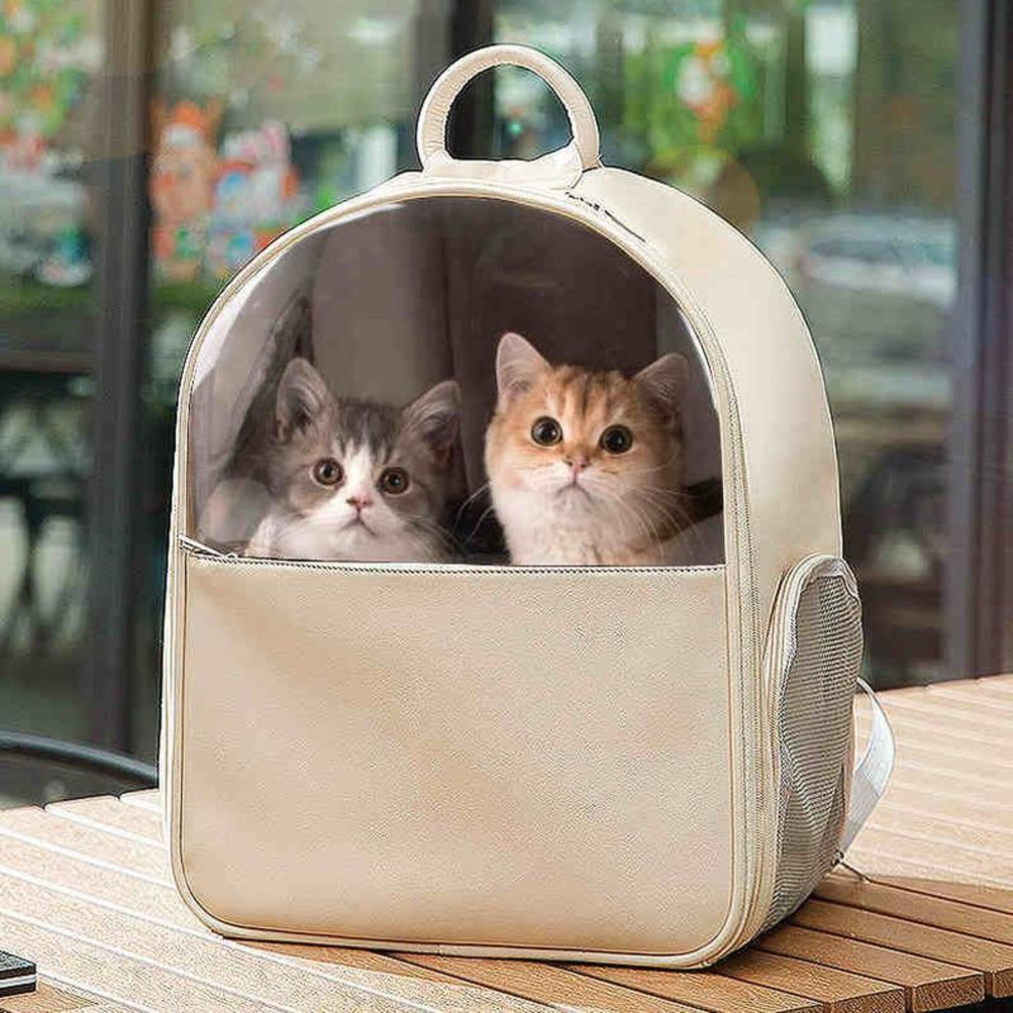 capsule cat carrier