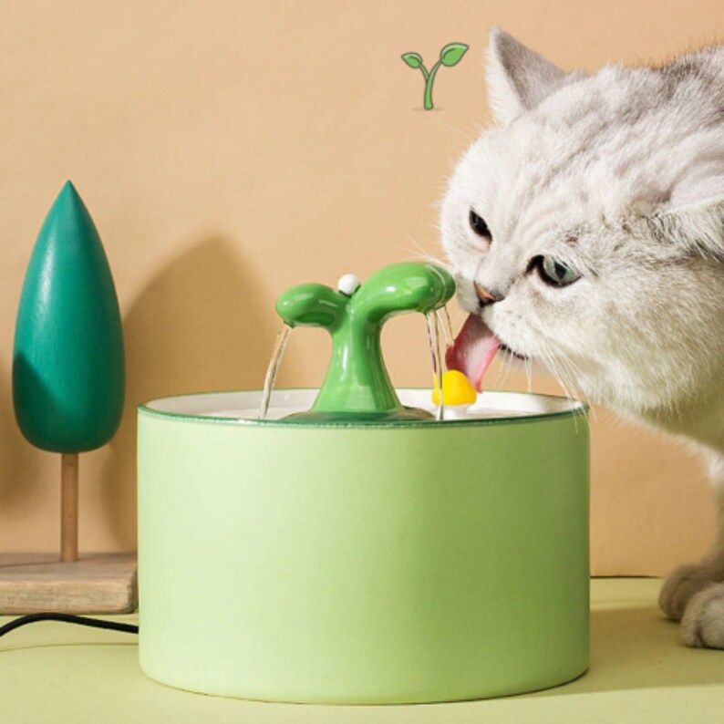 cat drinking fountain australia
