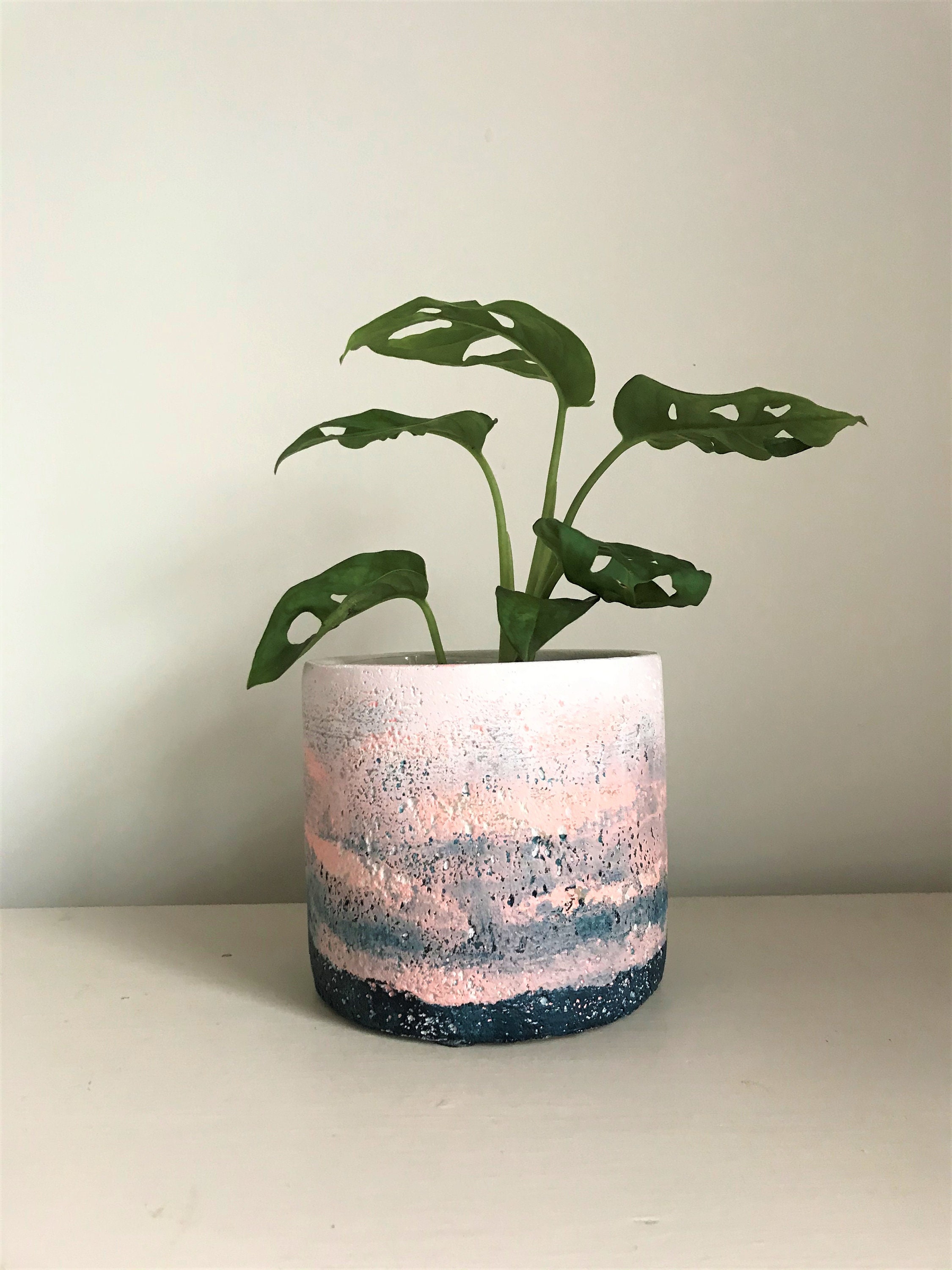 Concrete Planter in & Stripe Ombre Design Dip Dye