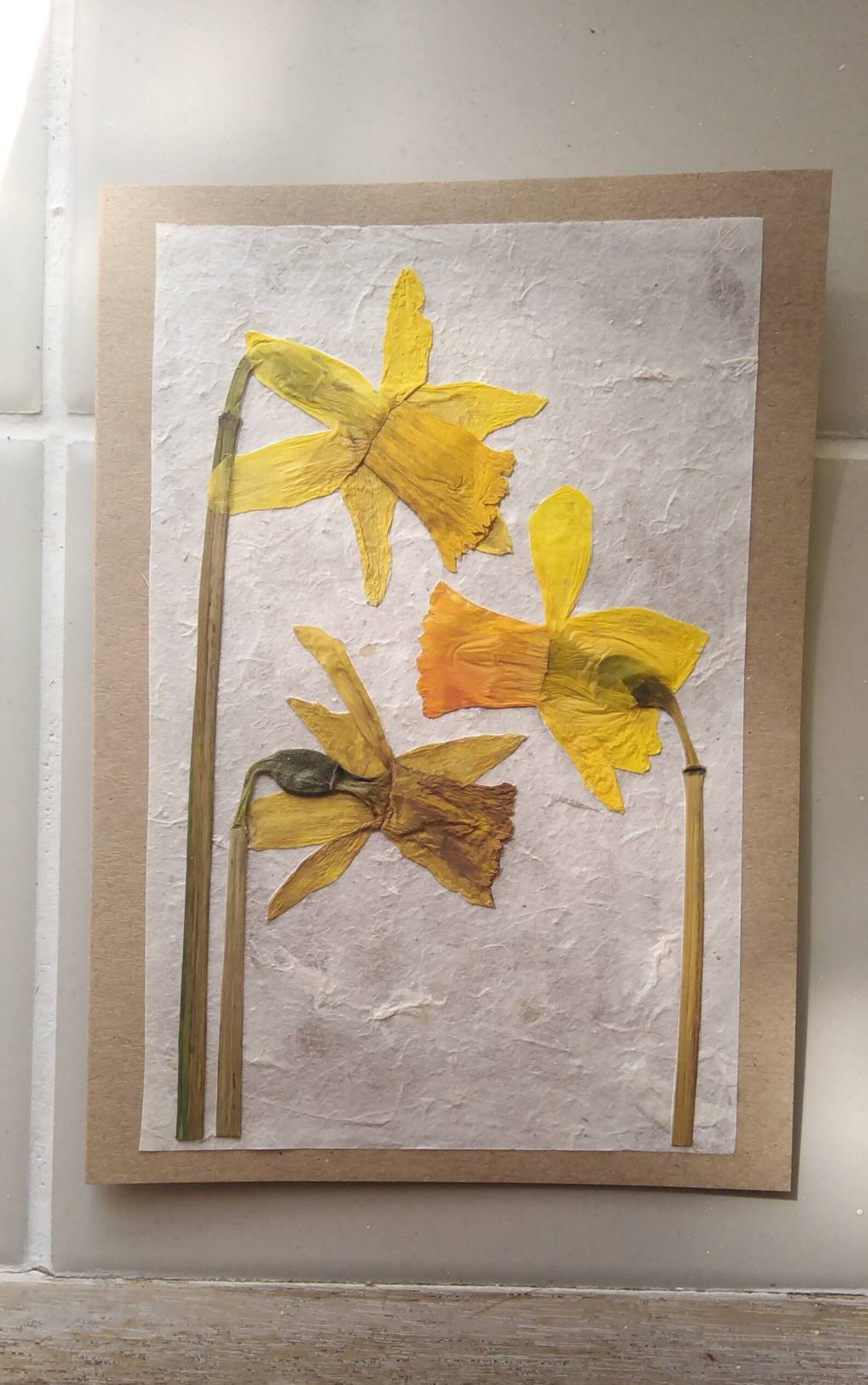 Real pressed daffodil card handmade with envelope 5x7 in. Etsy