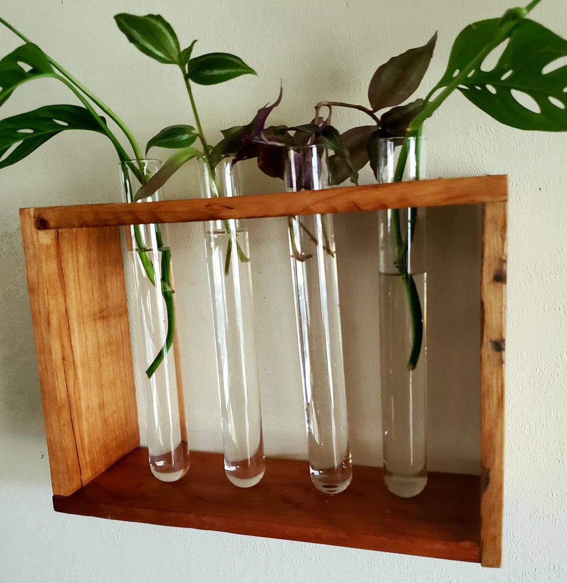 Glass tube water plant propagation wall decor Etsy