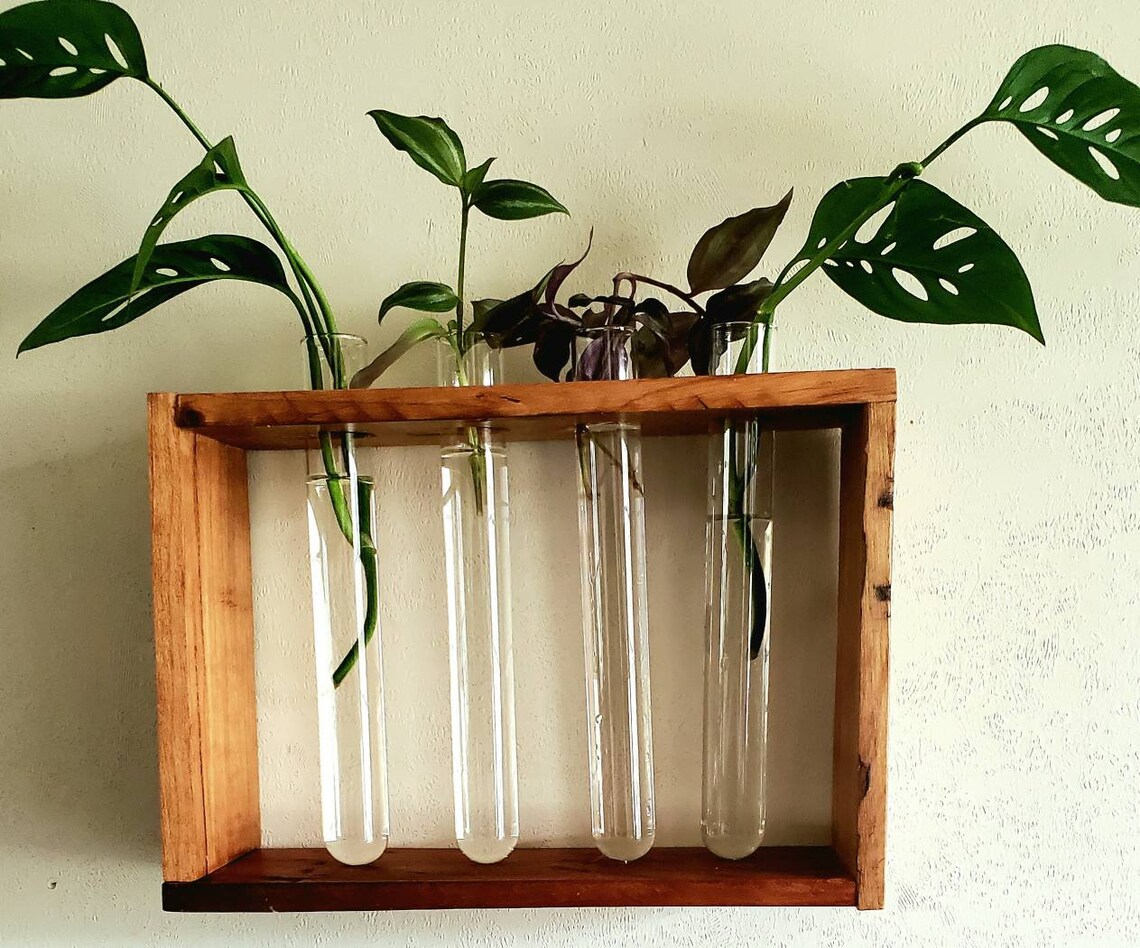 Glass tube water plant propagation wall decor Etsy