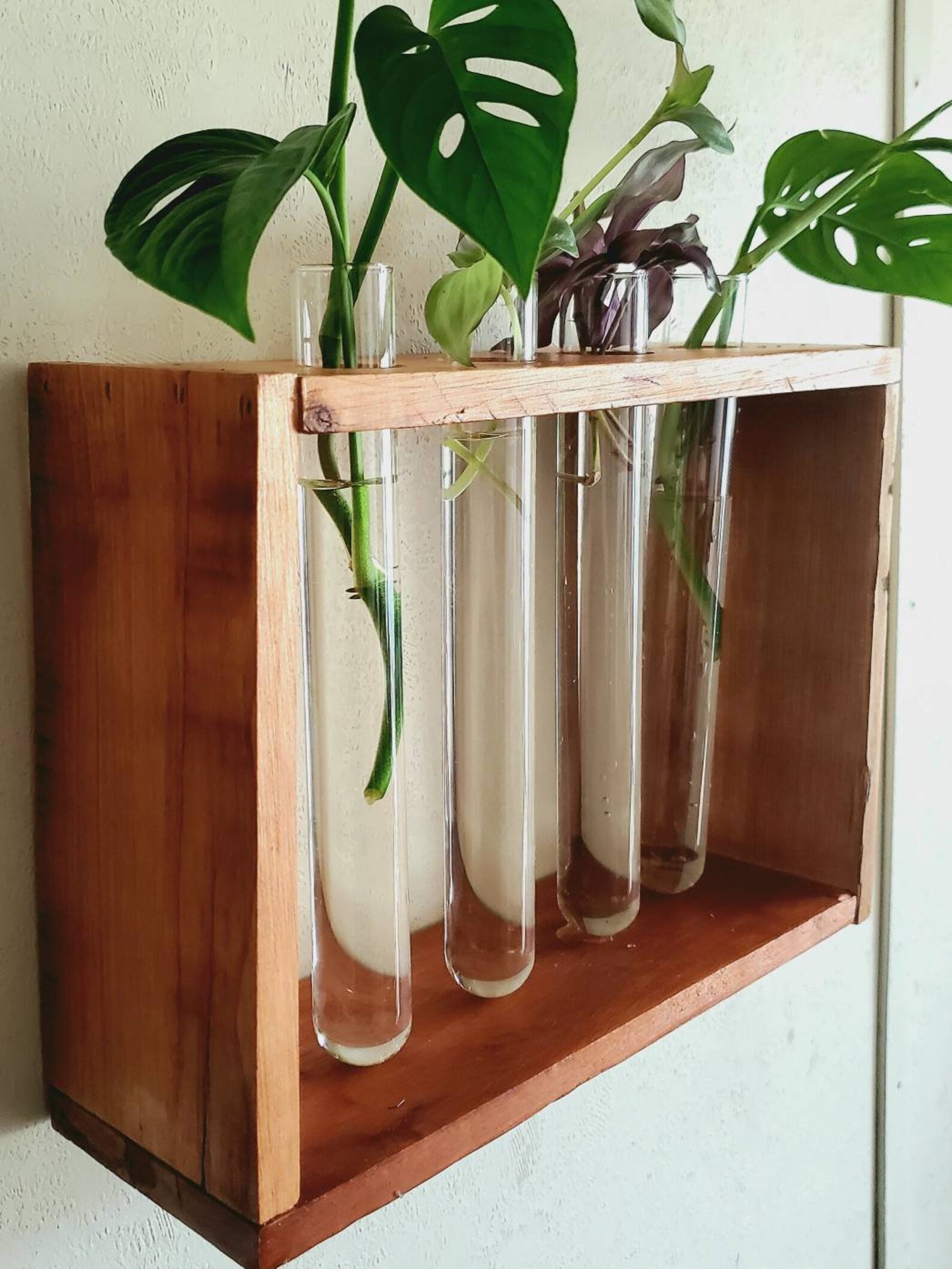 Glass tube water plant propagation wall decor Etsy