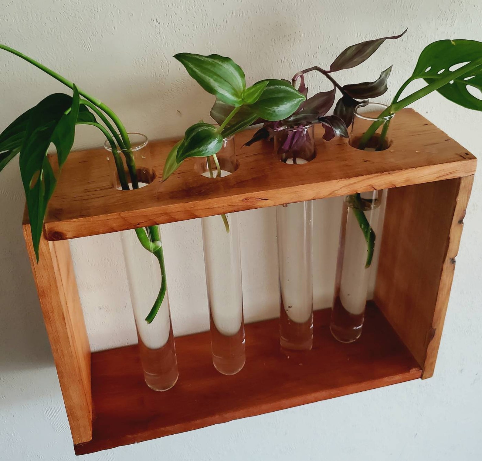 Glass tube water plant propagation wall decor Etsy
