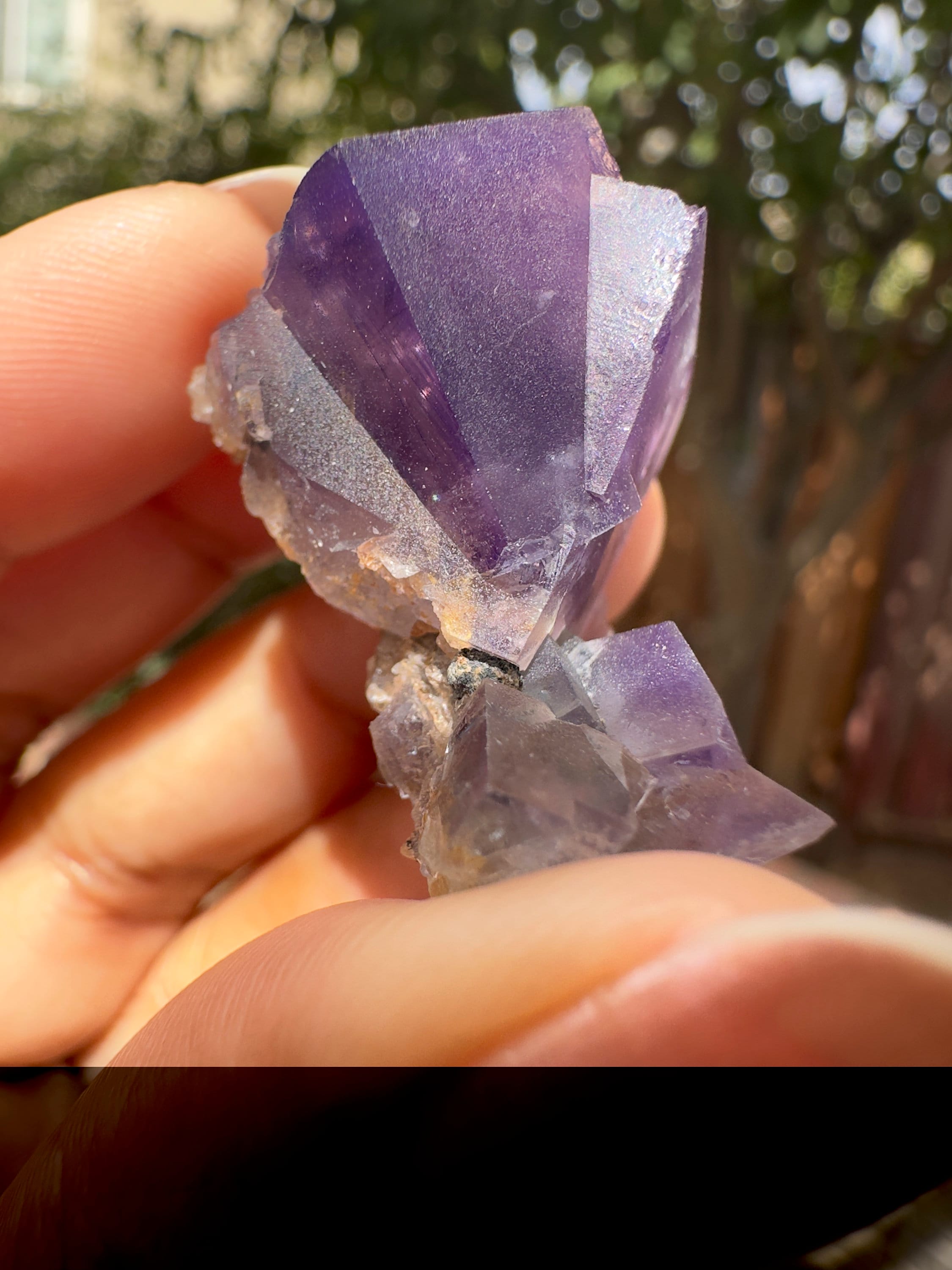 UK Lady Annabella Mine Purple Rain 蛍石 Fluorite, Purple Rain Pocket, Fairy Hole Vein, Lady