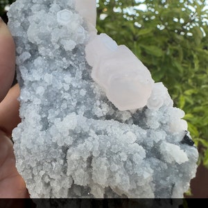 Fluorescent pink coin Calcite with Fluorite, Fujian, China