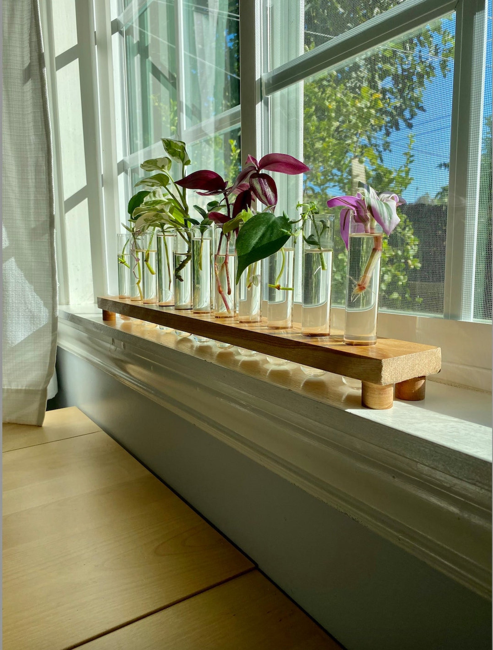 Large Wood Propagation Station 11 Test Tube Propagation Etsy