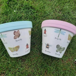 May include: Two white ceramic flower pots with blue and pink rims. The pots are decorated with a variety of insects and butterflies, including a dragonfly, ladybird, bumblebee, and butterfly. The words "Dragonfly", "Ladybird", "Bumblebee", and "Butterfly" are written on the pots.