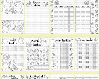 No Color BLANK Lemon Themed Bullet Journal Template PDF