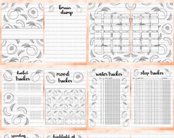 No Color BLANK Peaches Themed Bullet Journal Spreads PDF