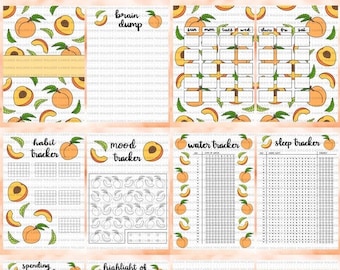 BLANK Peaches Themed Bullet Journal Spreads PDF