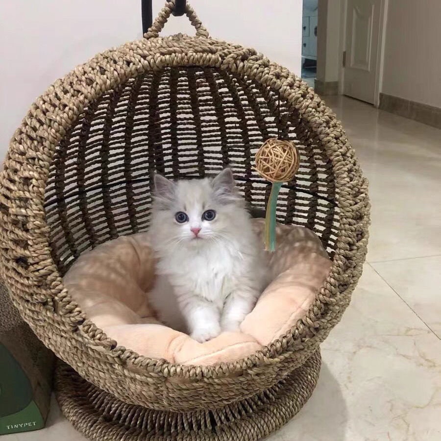 Cat hanging basketcat bedcat housecat hammockcat beds for Etsy