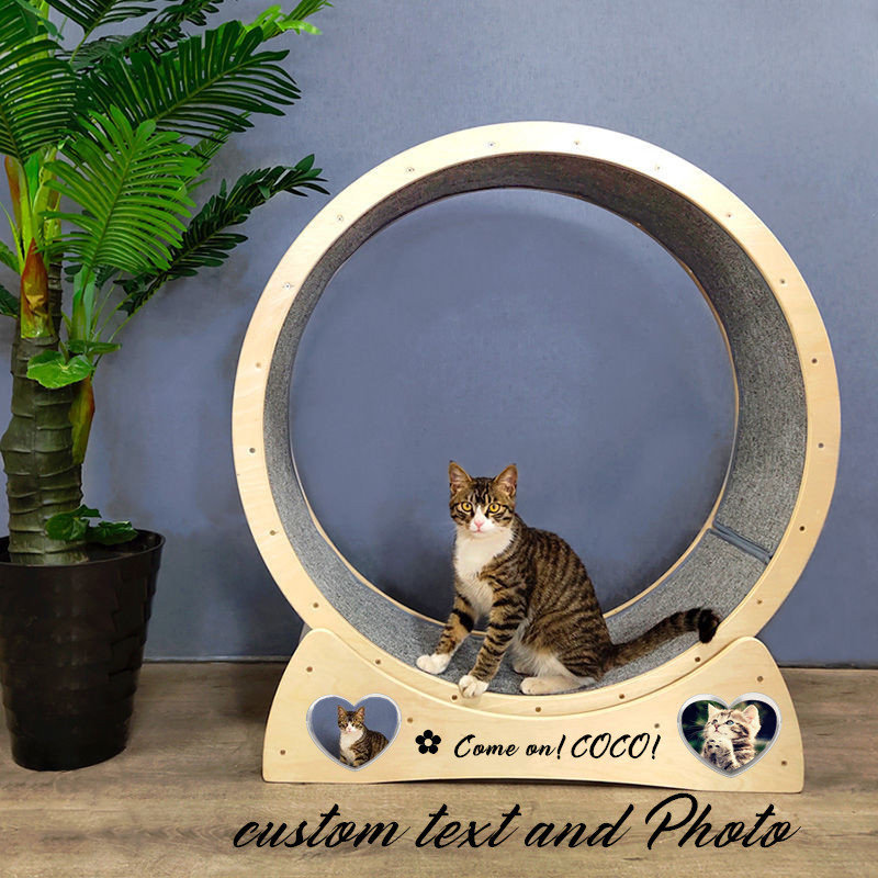 Cat Exercise Wheel for sale compared to CraigsList Only 2 left at 75