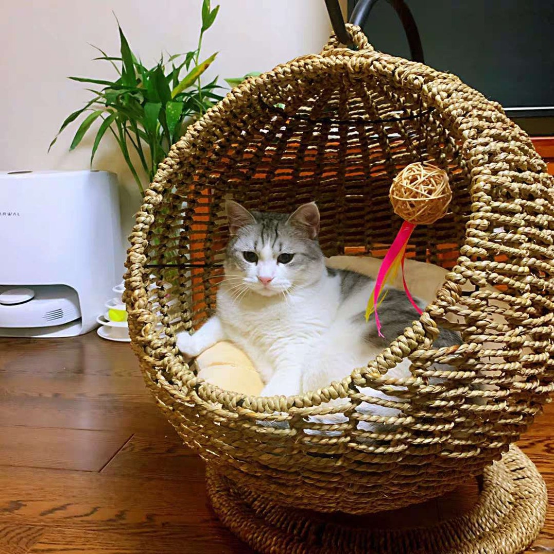 Cat hanging basketcat bedcat housecat hammockcat beds for Etsy
