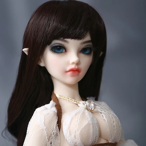 Set completo di bambole BJD 1/4, elfo in resina, bambola artistica snodabile