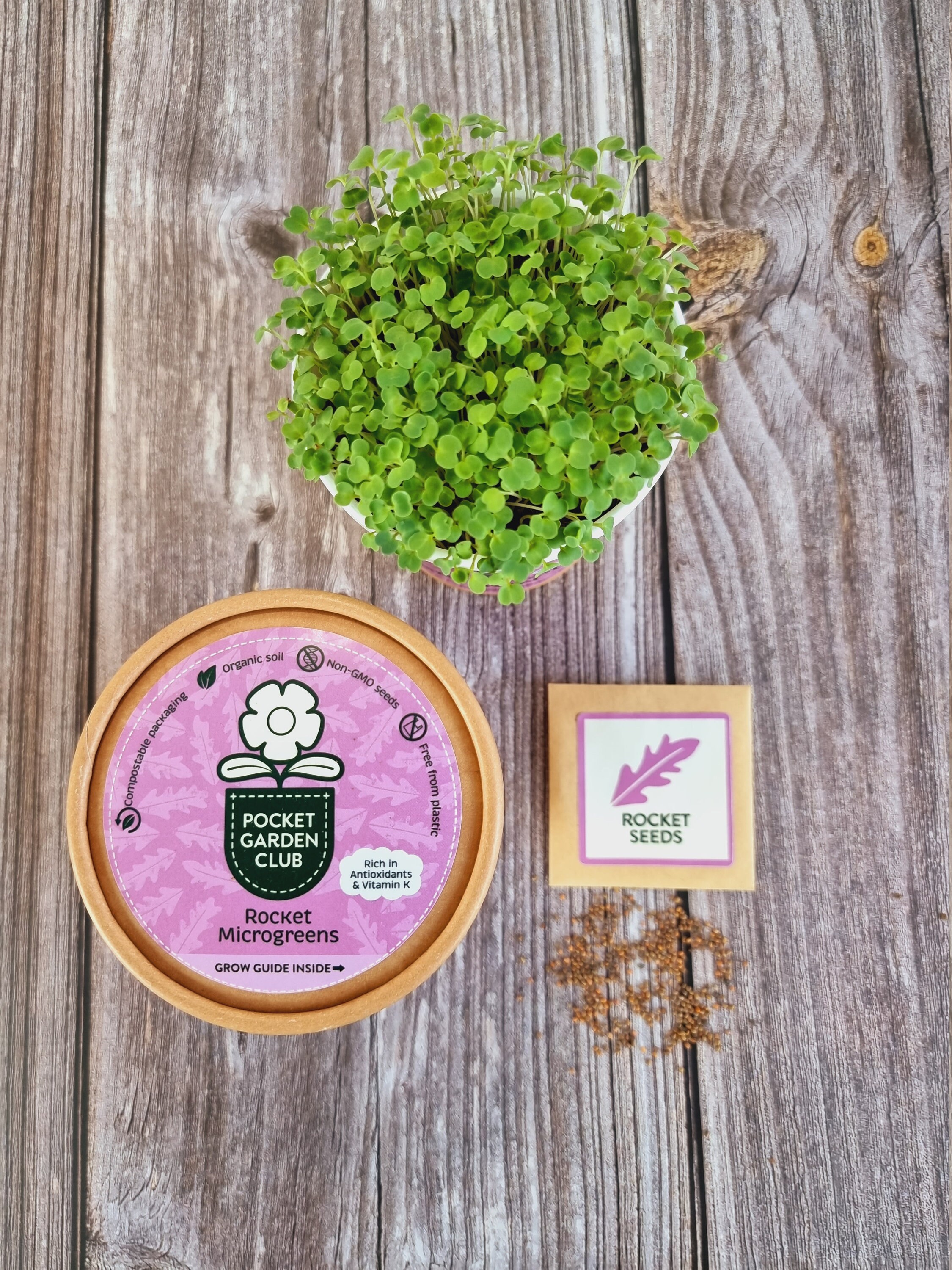 All In One Herb Grow Kit Rocket Microgreens Etsy