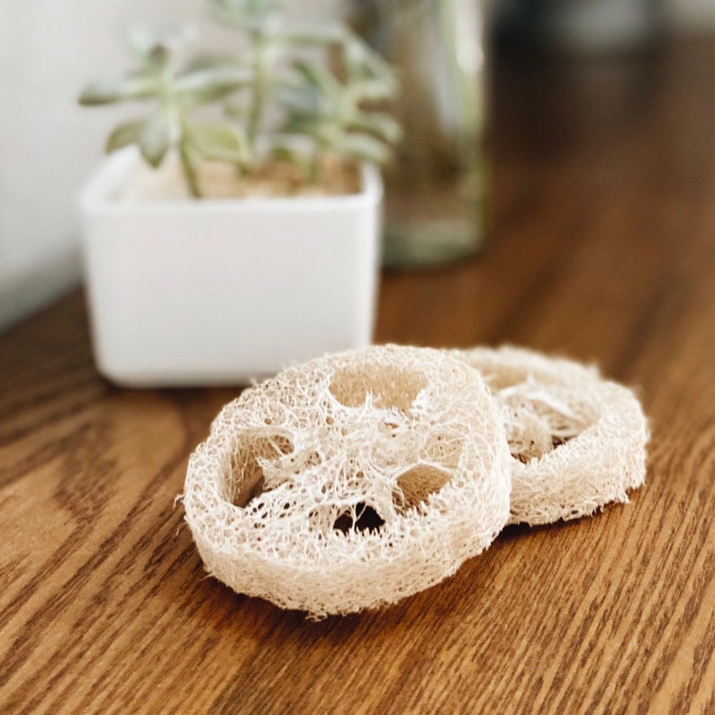 REKURATOR Loofah - Thumbnail 4