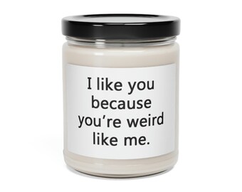 I Like You Because - Scented Soy Candle, 9oz