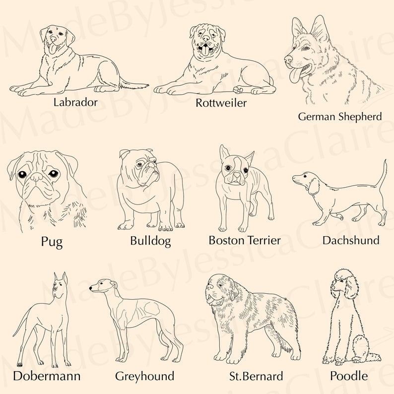 Dog Breeds SVG Bundle | 30 Pet Designs (SVG & PNG) - Etsy