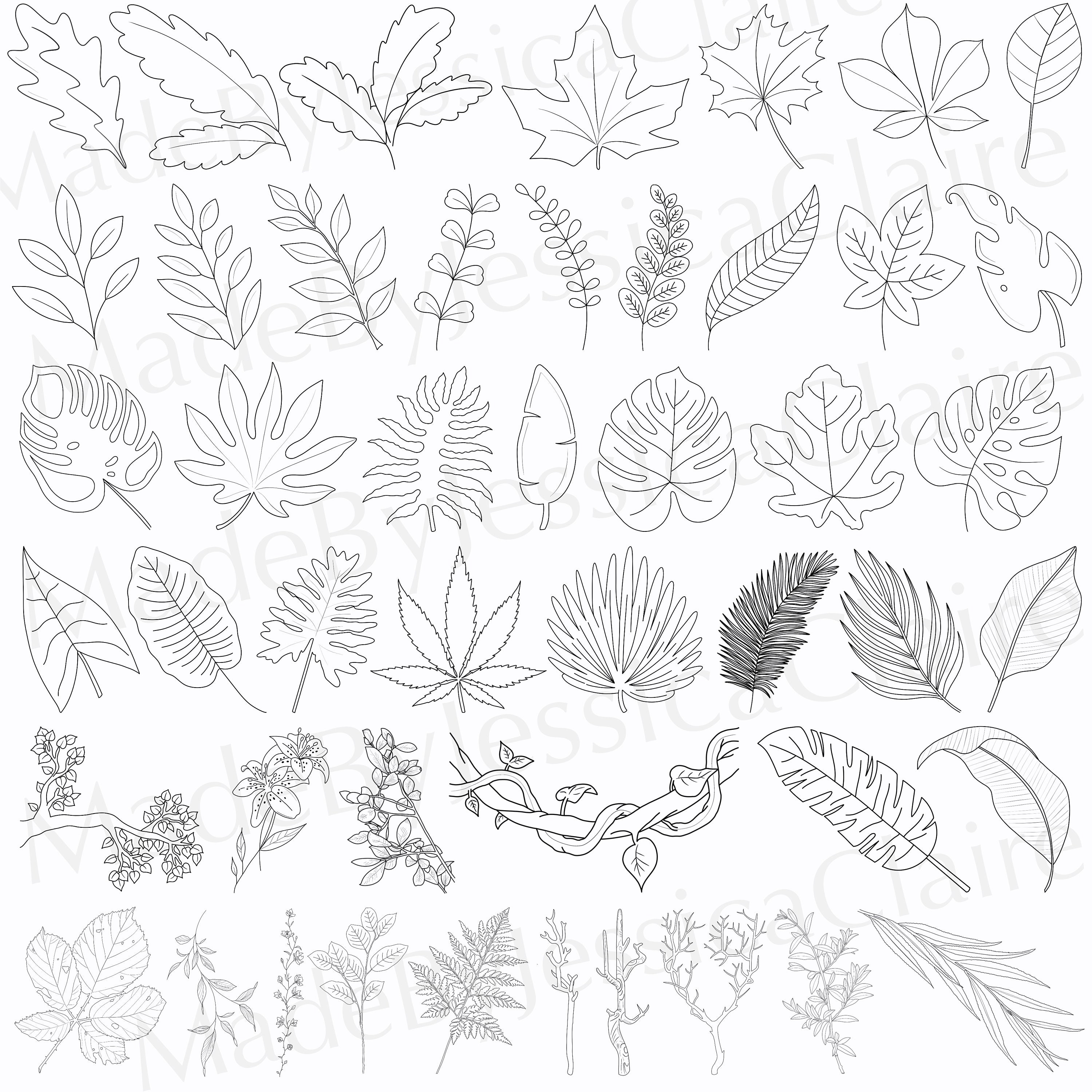 Procreate Botanical Stamps Procreate Stamp Brushset Etsy