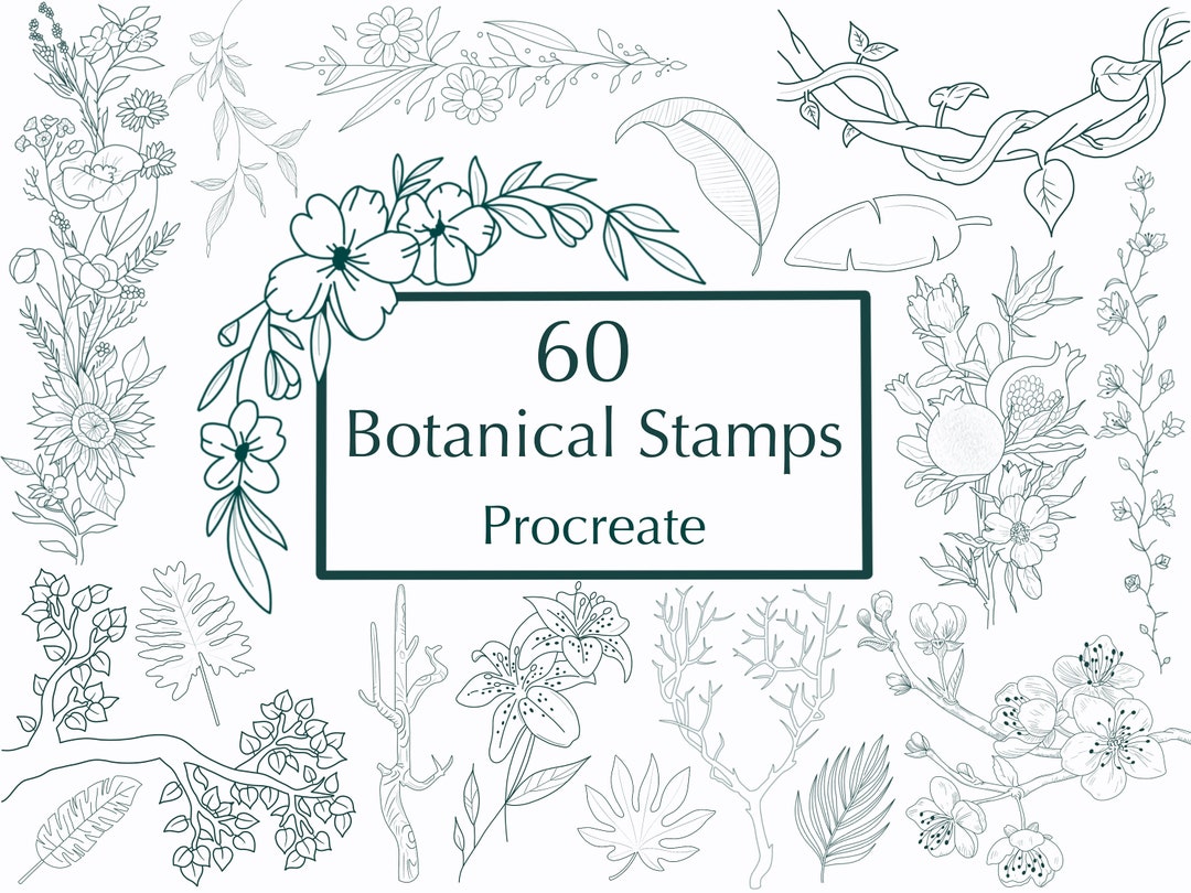 Procreate Botanical Stamps | Procreate Stamp Brushset | Procreate ...