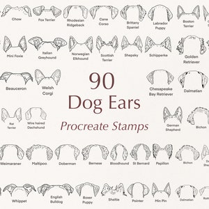 May include: A black and white line drawing illustration of 90 different dog ear shapes. The illustration is labeled "90 Dog Ears Procreate Stamps".