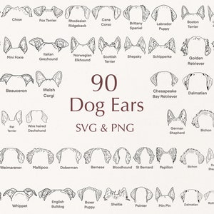 Dog Breed Ears SVG.  Hand Drawn. Dog Ears Outline Bundle. Svg Clipart Bundle. Line Art. Tattoo Design. PNG Bundle. Commercial Use