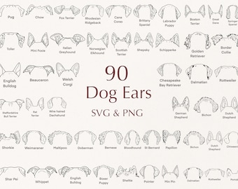 Dog Breed Ears SVG.  Hand Drawn. Dog Ears Outline Bundle. Svg Clipart Bundle. Line Art. Tattoo Design. PNG Bundle. Commercial Use