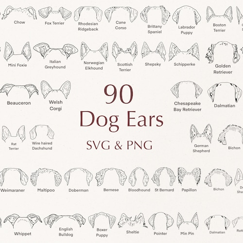 Dog Breed Ears SVG Hand Drawn Dog Ears Outline Bundle - Etsy UK