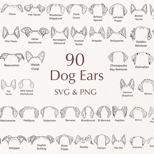 Dog Breed Ears SVG Hand Drawn Dog Ears Outline Bundle - Etsy UK