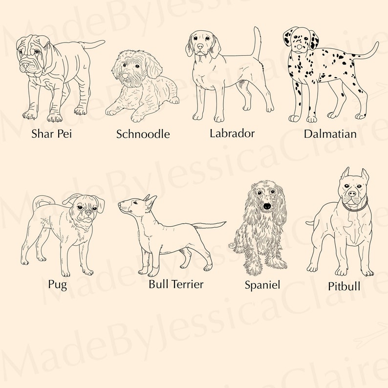 Dog Breeds SVG Bundle | 30 Pet Designs (SVG & PNG) - Etsy