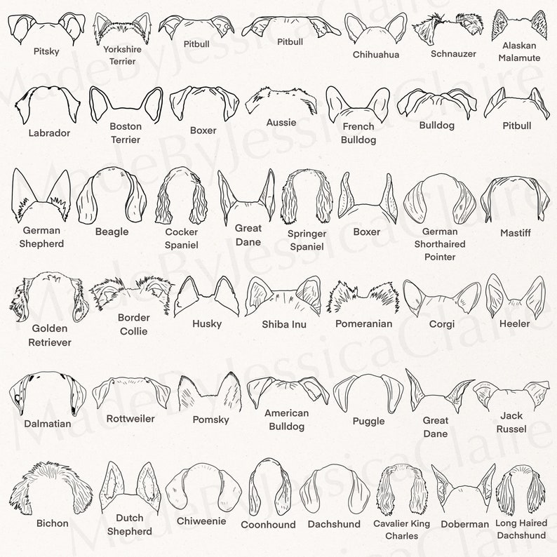 Procreate Dog Ears Dog Breed Line Drawing Animal Stamps - Etsy